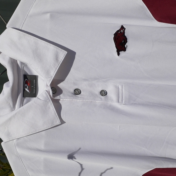 P2 by ProPlayer Sporty Warthog Dress Shirt, Size L - Picture 8 of 8